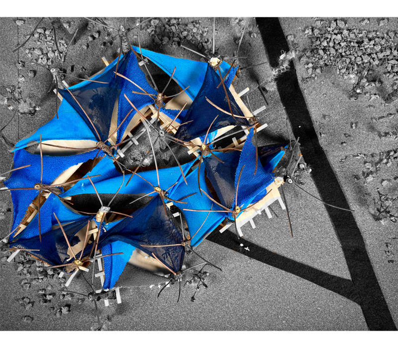 Paula Carrero Méndez